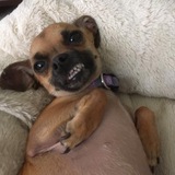 Entry image for Lola Findlay 