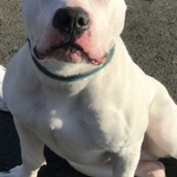 Entry image for Cairo