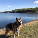 Entry image for Cole