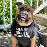 Entry image for Hodor