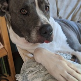 Entry image for Star