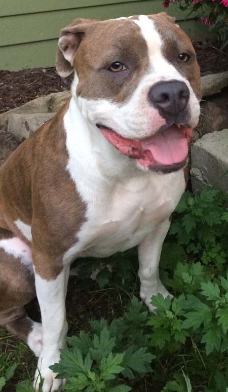 Entry image for Trudy. Clicking this image will show a larger photo