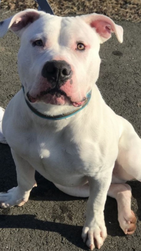 Entry image for Cairo. Clicking this image will show a larger photo