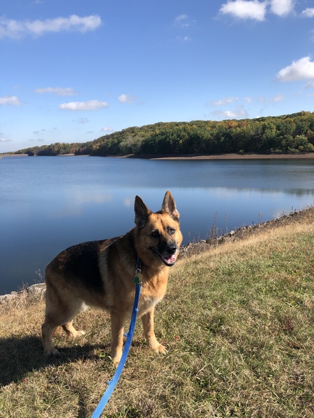 Entry image for Cole. Clicking this image will show a larger photo