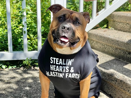 Entry image for Hodor. Clicking this image will show a larger photo