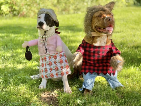 Entry image for Jimmy and Roo. Clicking this image will show a larger photo