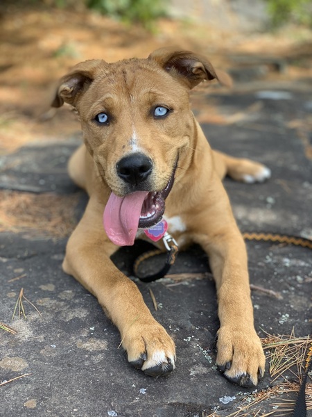 Entry image for Eva. Clicking this image will show a larger photo