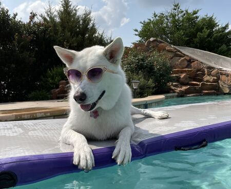 Lollie "Party Girl" Sue