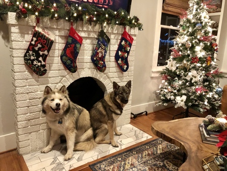 Bear & Charlie