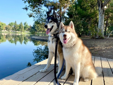 Sakari + Makai
