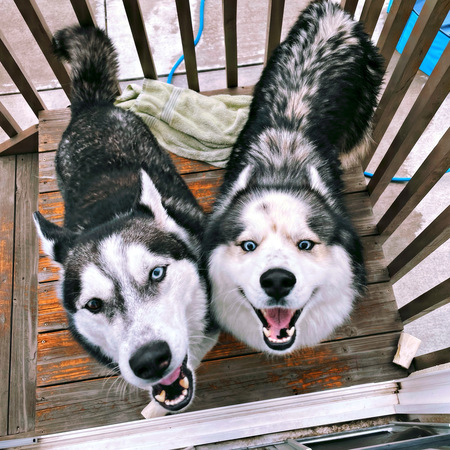 Henrik and Leo