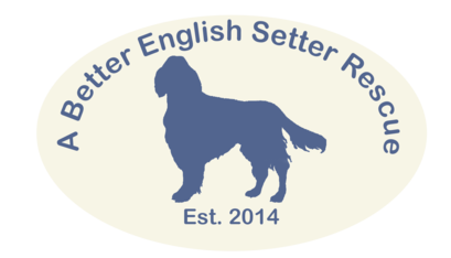 Logo for A Better English Setter Rescue 2022 Calendar Cover Contest
