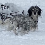 Entry image for Nash Alonso