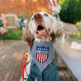 Entry image for Norman Pavlick