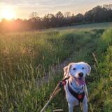 Entry image for Penny Aimino