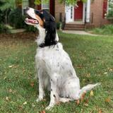 Entry image for Remy Bennett