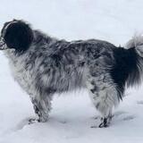 Entry image for Ruffin Davis