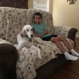 Entry image for Ryker Ferris & Luca