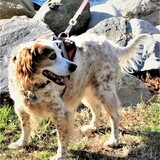 Entry image for Susie Hickey Pace