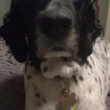 Entry image for Thatcher Erickson