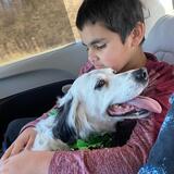 Entry image for Zara Turner