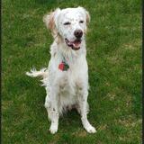 Entry image for Alvin Erickson