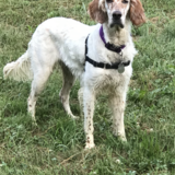 Entry image for Ana Toggas 1