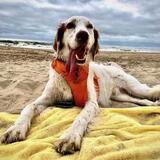 Entry image for Asher Lance Thomas