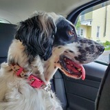 Entry image for Bandit Castle