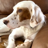 Entry image for Bella Brimley