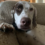 Entry image for Ben Balins