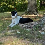 Entry image for Brody Shover