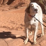 Entry image for Cali Kornas