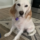 Entry image for Chance Rahlfs