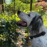 Entry image for Charlie Wilson