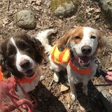 Entry image for Cooper Bailey & Maia Richardson