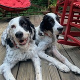 Entry image for Dottie & Reba Dickson