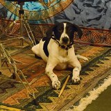 Entry image for Dudley Marteeny