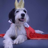 Entry image for Griffin Kline