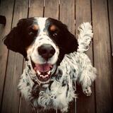 Entry image for Hank Tuson