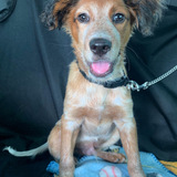 Entry image for Hendrix Thorley