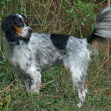 Entry image for Henley Roberts