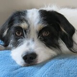 Entry image for Ivy Uppleger