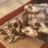 Entry image for Jesse Arndt