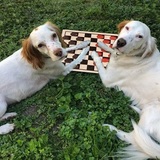 Entry image for Jordan Foster & Claire Filler