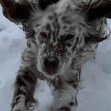 Entry image for Lindsy Alonso