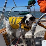 Entry image for Lola Ericsson