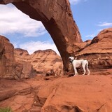 Entry image for Lylian Jones