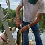 Entry image for Maia Richardson