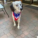 Entry image for Marco Mangan 2